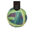 Włóczka skarpetkowa Pro Lana Socks Ball kolor 6