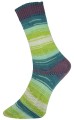Włóczka skarpetkowa Pro Lana Socks Ball kolor 6