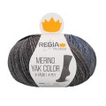 Włóczka skarpetkowa Regia Premium Merino Yak Color kolor 08516 stormy sky