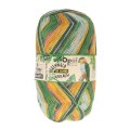 Włóczka skarpetkowa Opal Regenwald 20-year anniversary kolor 9770