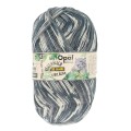 Włóczka skarpetkowa Opal Regenwald 20-year anniversary kolor 4004