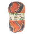 Włóczka skarpetkowa Opal Regenwald 20-year anniversary kolor 8460